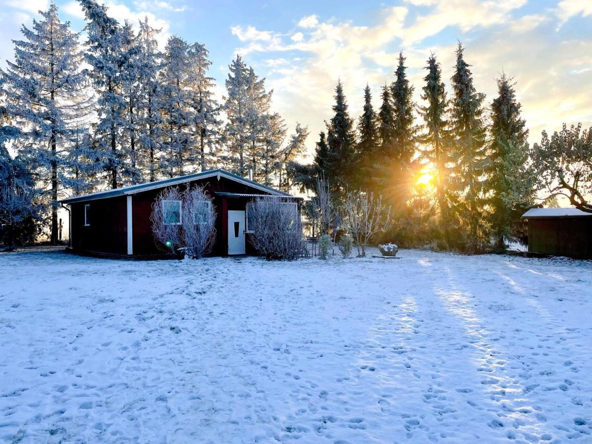 Landhaus Mit Pool, Bungalow In Der Natur Hohenbollentin 외부 사진